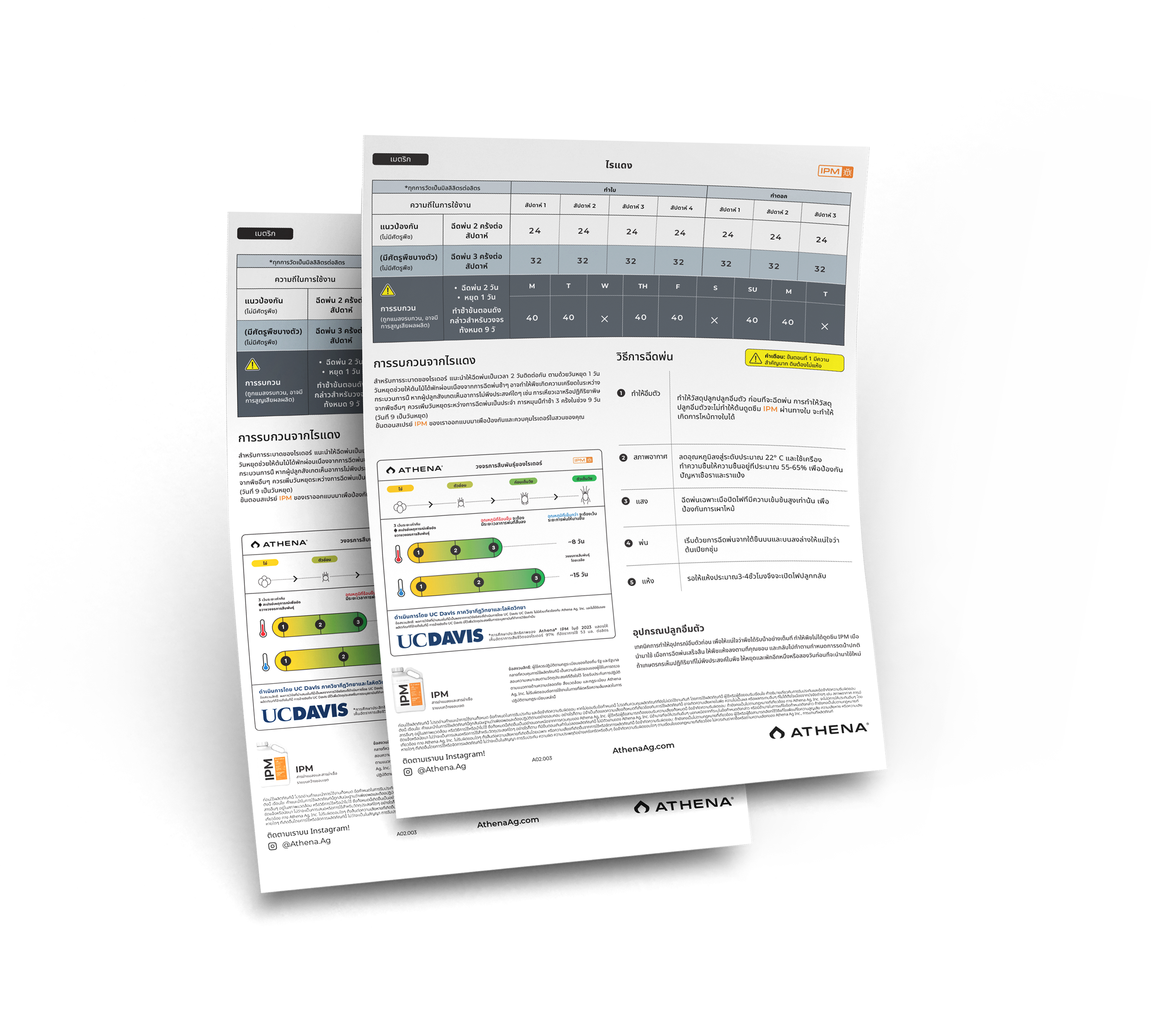 IPM Documents Mockup Thai.png